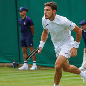 Pablo Carreno Busta